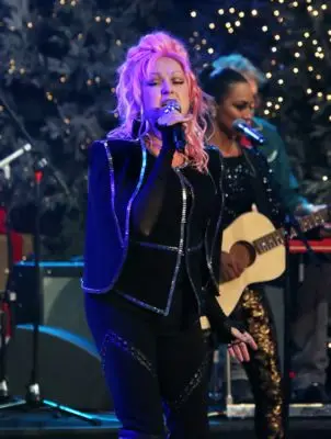 Cyndi Lauper (events) Wall Poster picture 100718