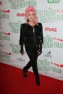 Cyndi Lauper (events) Jigsaw Puzzle picture 100722