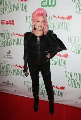 Cyndi Lauper (events) Jigsaw Puzzle picture 100728