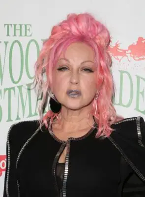 Cyndi Lauper (events) Wall Poster picture 100736