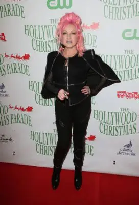 Cyndi Lauper (events) Jigsaw Puzzle picture 100739