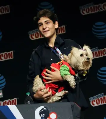 David Mazouz (events) Wall Poster picture 100839