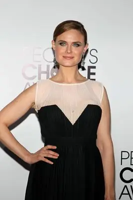 Emily Deschanel (events) Wall Poster picture 292764
