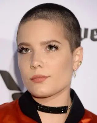 Halsey (events) Jigsaw Puzzle picture 102505