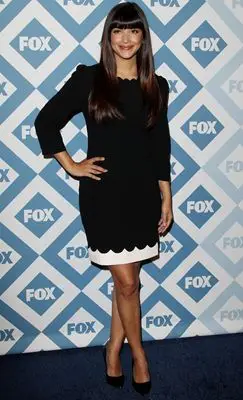 Hannah Simone (events) Wall Poster picture 291141