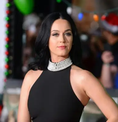 Katy Perry (events) Kitchen Apron - idPoster.com