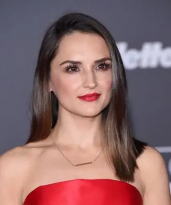 Rachael Leigh Cook (events) Wall Poster picture 110596