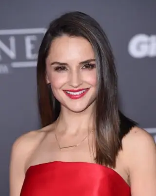 Rachael Leigh Cook (events) Image Jpg picture 110597