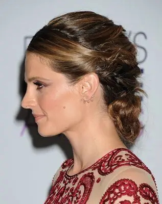 Stana Katic (events) Fridge Magnet picture 297389