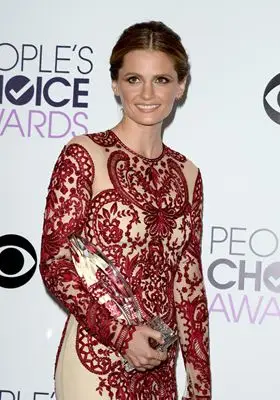 Stana Katic (events) Fridge Magnet picture 297407