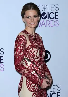 Stana Katic (events) Wall Poster picture 297415