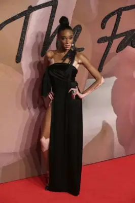 Winnie Harlow (events) Wall Poster picture 110892