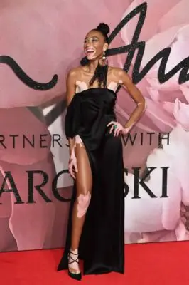 Winnie Harlow (events) Wall Poster picture 110897