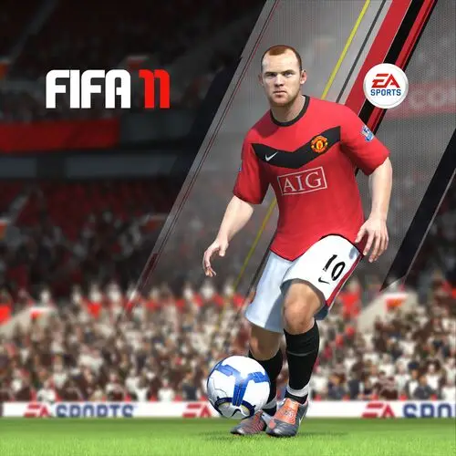 Fifa 2011 Jigsaw Puzzle picture 107399