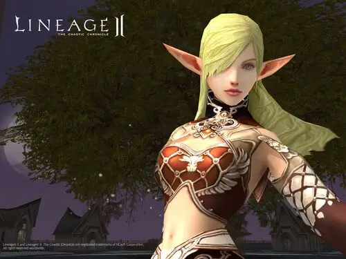 Lineage 2 Wall Poster picture 106428