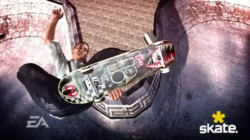 Skate 3 Jigsaw Puzzle picture 107530
