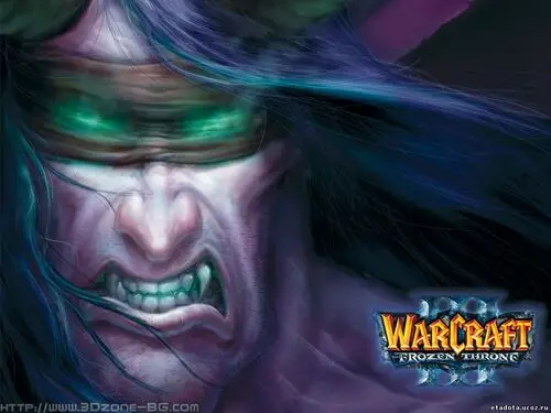 Warcraft 3 Frozen Throne Wall Poster picture 108182