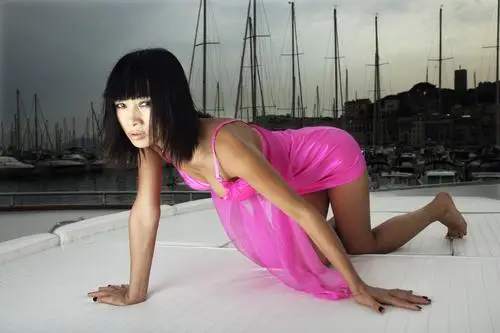 Bai Ling Jigsaw Puzzle picture 62928
