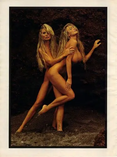Barbi Twins Wall Poster picture 755236