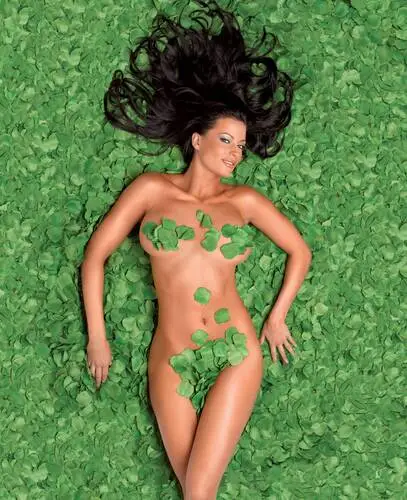 Candice Michelle Wall Poster picture 578698