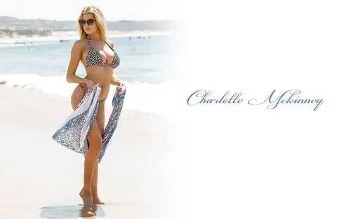 Charlotte Mckinney Wall Poster picture 593947
