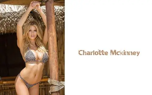 Charlotte Mckinney Tote Bag - idPoster.com