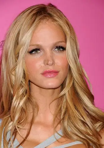 Erin Heatherton Wall Poster picture 135040