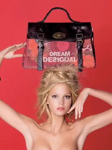 Erin Heatherton Wall Poster picture 135133