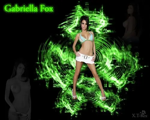 Gabriella Fox Women's Colored Hoodie - idPoster.com