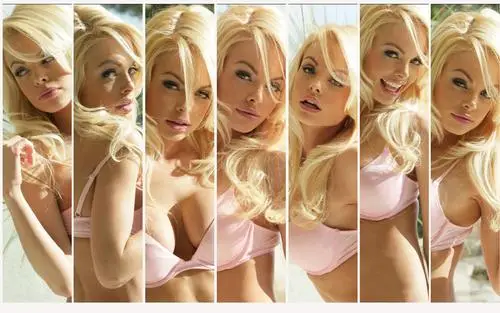 Jesse Jane Wall Poster picture 305250