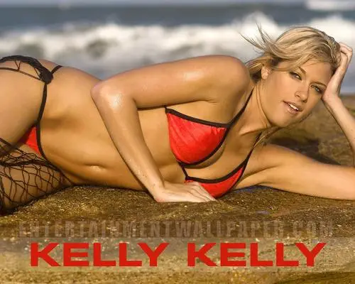 Kelly Kelly Wall Poster picture 217546