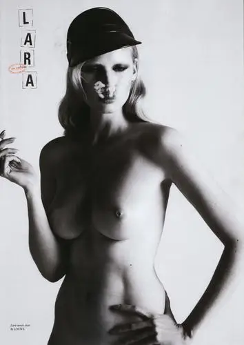 Lara Stone Wall Poster picture 82085