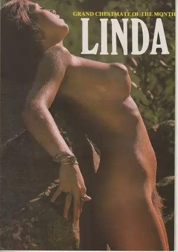Linda Gordon Wall Poster picture 999328