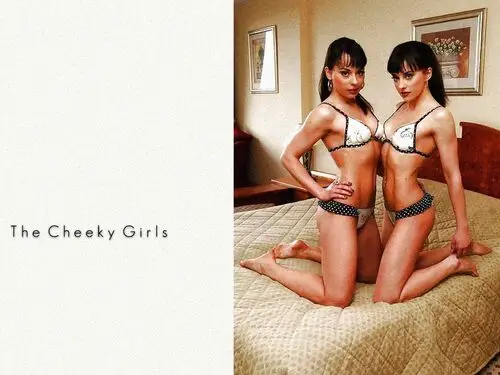 The Cheeky Girls Jigsaw Puzzle picture 335565