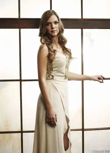 Tracy Spiridakos Wall Poster picture 336282
