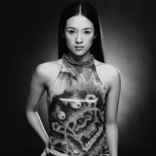 Zhang Ziyi Wall Poster picture 553997