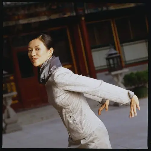 Zhang Ziyi Women's Colored  Long Sleeve T-Shirt - idPoster.com
