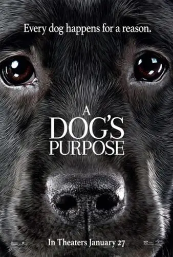 A Dog s Purpose 2017 Computer MousePad picture 598142