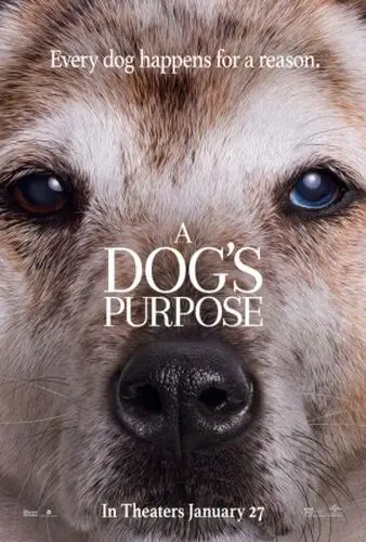 A Dog s Purpose 2017 Wall Poster picture 598144