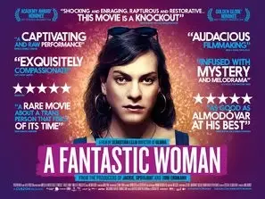 A Fantastic Woman (2017) Wall Poster picture 833249