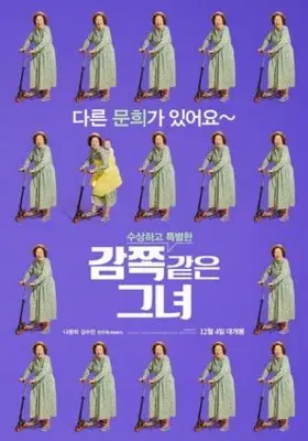 A Little Princess (2019) Wall Poster picture 893311