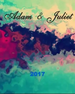 Adam and Juliet 2016 Men's Colored Hoodie - idPoster.com