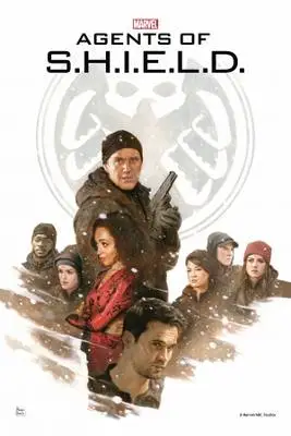 Agents of S.H.I.E.L.D. (2013) Image Jpg picture 368903