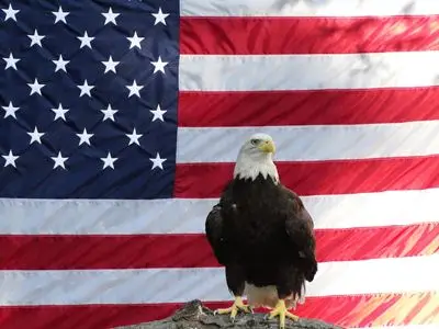 American Flag Fridge Magnet picture 154601