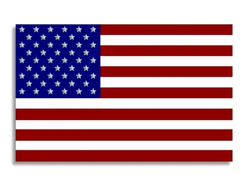 American Flag Fridge Magnet picture 154610
