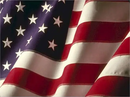 American Flag Fridge Magnet picture 154611