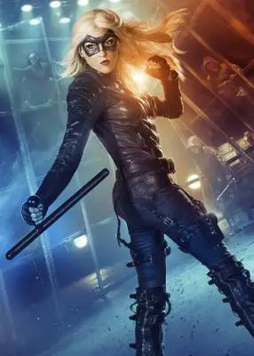 Arrow (2012) Wall Poster picture 368934