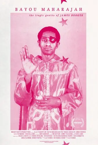 Bayou Maharajah The Tragic Genius of James Booker (2013) Wall Poster picture 501116