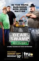 Bear Swamp Recovery (2011) posters and prints