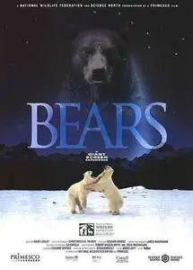 Bears (2001) posters and prints